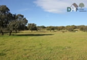 Terreno no urbanizable en venta en la Plaza del Duque, Cáceres, ref: TR73932 foto