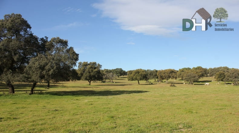 Cáceres - Cáceres - 2400000m2