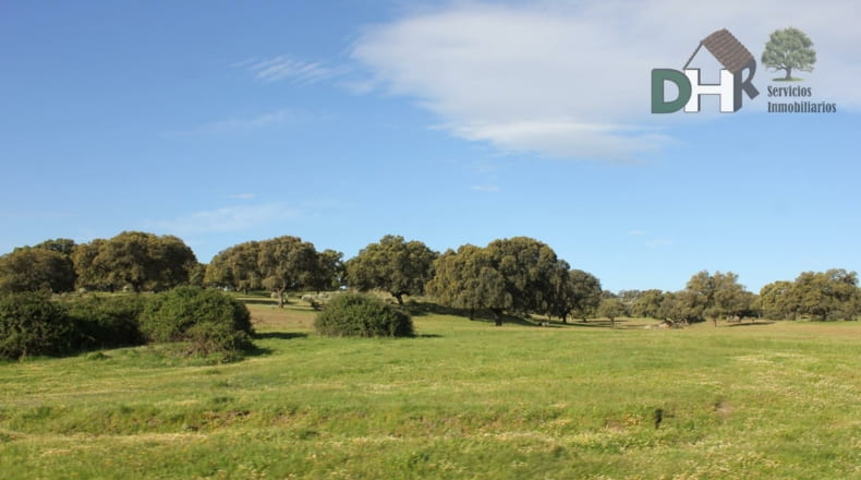 Cáceres - Cáceres - 2400000m2