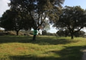 Terreno no urbanizable en venta en la Plaza del Duque, Cáceres, ref: TR73932 foto