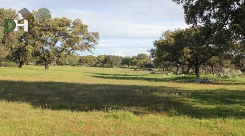 Cáceres - Cáceres - 2400000m2