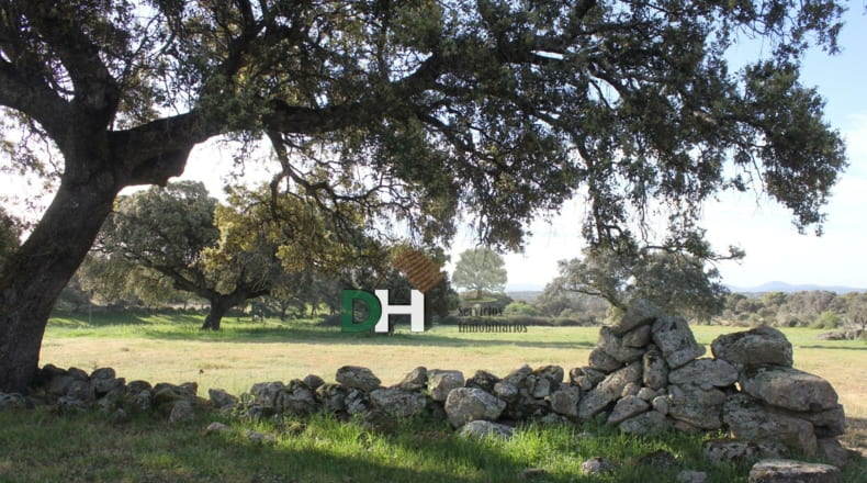 Cáceres - Cáceres - 2400000m2