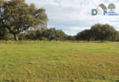 Terreno no urbanizable en venta en la Plaza del Duque, Cáceres, ref: TR73932 foto