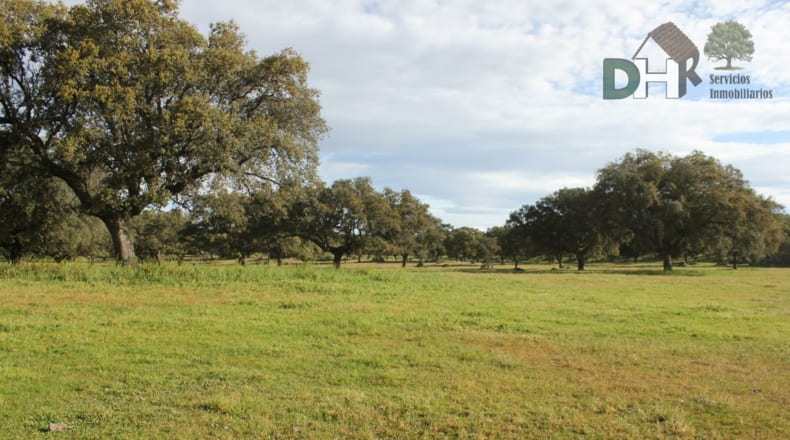 Cáceres - Cáceres - 2400000m2