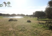 Terreno no urbanizable en venta en la Plaza del Duque, Cáceres, ref: TR73932 foto