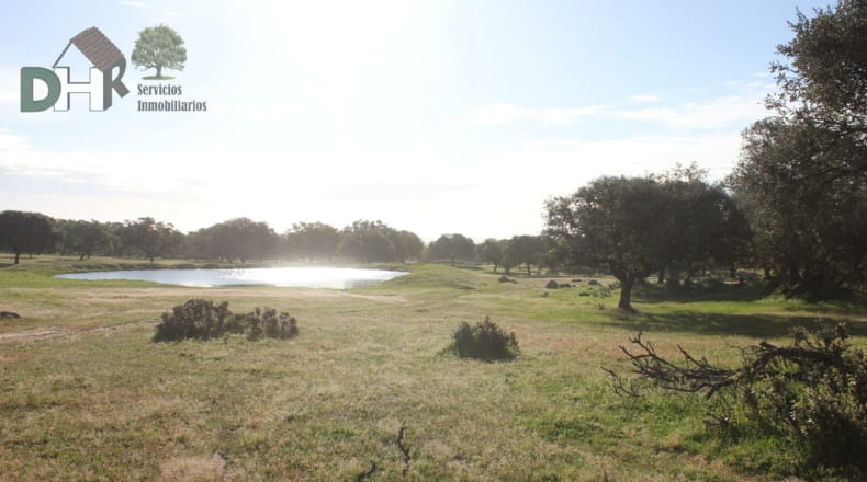 Cáceres - Cáceres - 2400000m2