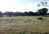 Terreno no urbanizable en venta en la Plaza del Duque, Cáceres, ref: TR73932 foto