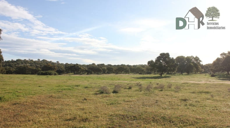 Cáceres - Cáceres - 2400000m2