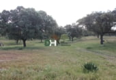 Terreno no urbanizable en venta en la Plaza del Duque, Cáceres, ref: TR73932 foto