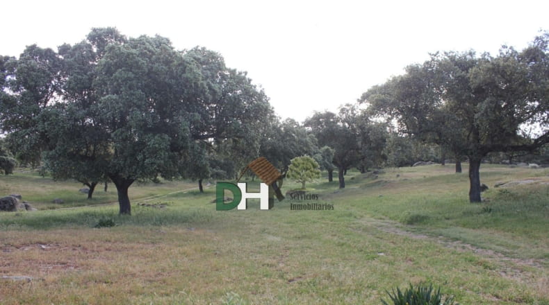 Cáceres - Cáceres - 2400000m2