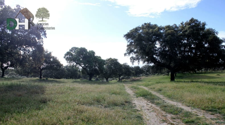 Cáceres - Cáceres - 2400000m2
