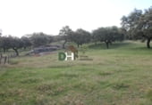 Terreno no urbanizable en venta en la Plaza del Duque, Cáceres, ref: TR73932 foto