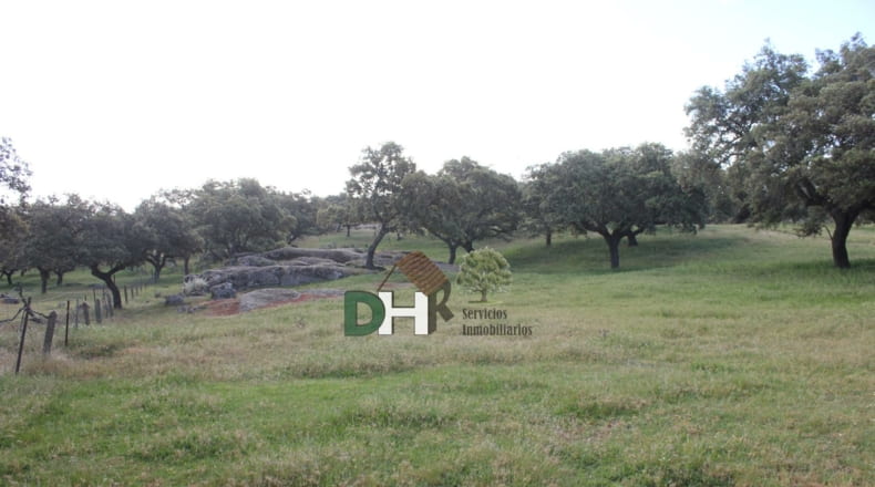 Cáceres - Cáceres - 2400000m2