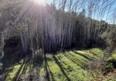 Finca rústica en venda a la Camino Cortelazor-Fuenteridos, Cortelazor, ref.: TR73082 foto