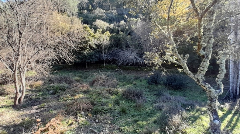 Huelva - Cortelazor la Real - 25600m2