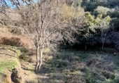 Finca rústica en venda a la Camino Cortelazor-Fuenteridos, Cortelazor, ref.: TR73082 foto
