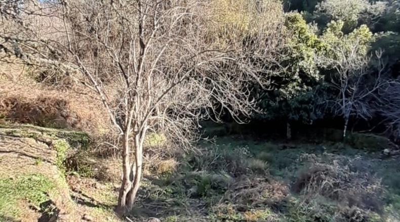 Huelva - Cortelazor la Real - 25600m2