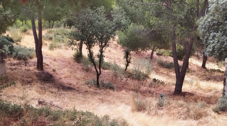 Comunidad de Madrid - Navas del Rey - 800m2