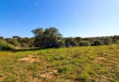 Land suitable for development for sale on Diseminado 55, Santanyí, ref: TR73100 photo