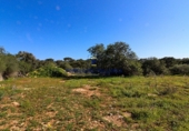 Land suitable for development for sale on Diseminado 55, Santanyí, ref: TR73100 photo