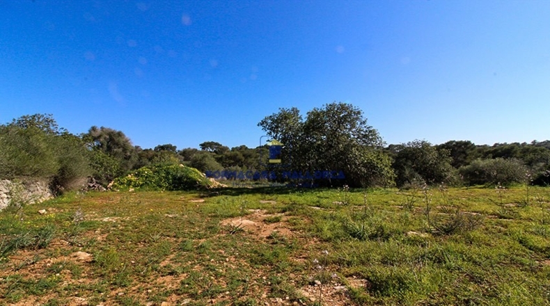 Islas Baleares - Santañy - 21300m2