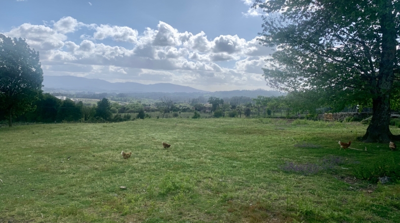 Pontevedra - Salvaterra de Miño - 1900m2