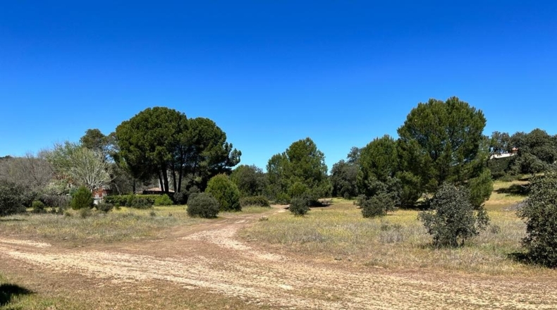 Toledo - Serranillos Playa - 3600m2