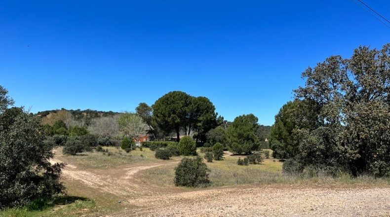 Toledo - Serranillos Playa - 3600m2