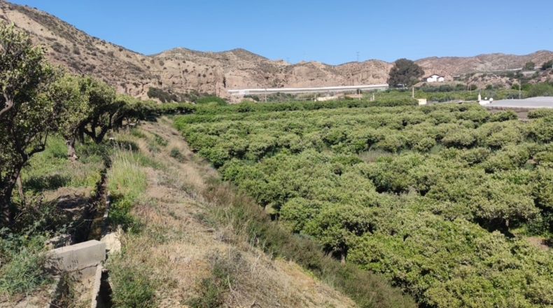 Almería - Gádor - 53000m2