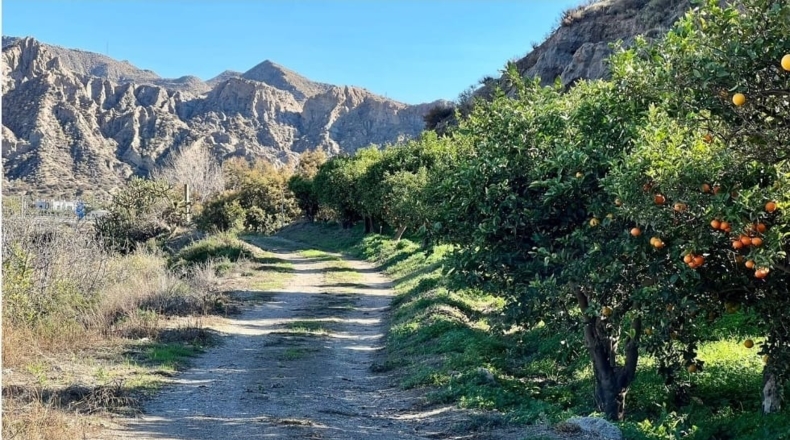 Almería - Gádor - 53000m2