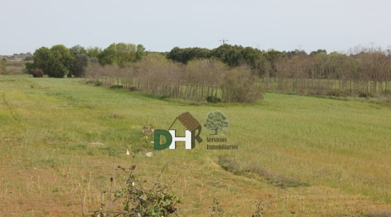 Cáceres - Cáceres - 730000m2