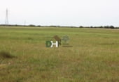 Non-developable land for sale on Plaza de San Jorge, Cáceres, ref: TR73758 photo