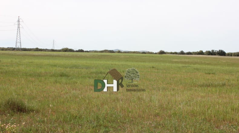Cáceres - Cáceres - 730000m2