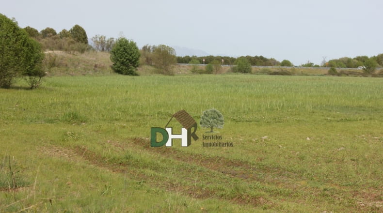 Cáceres - Cáceres - 730000m2