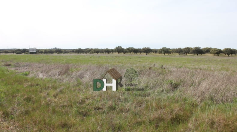 Cáceres - Cáceres - 730000m2