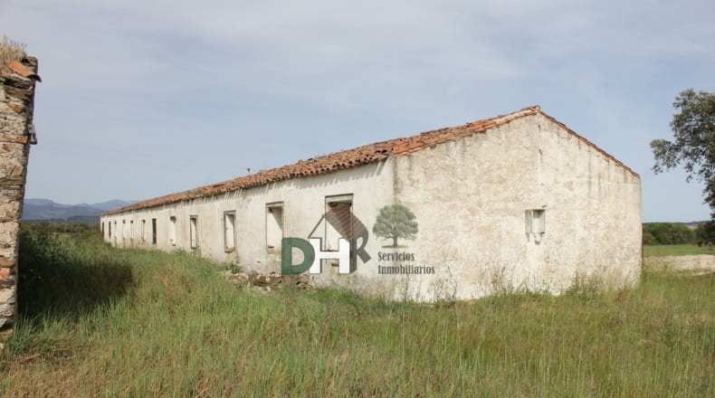 Cáceres - Cáceres - 730000m2