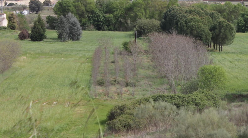 Cáceres - Cáceres - 730000m2