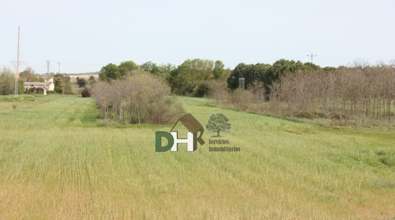 Cáceres - Cáceres - 730000m2