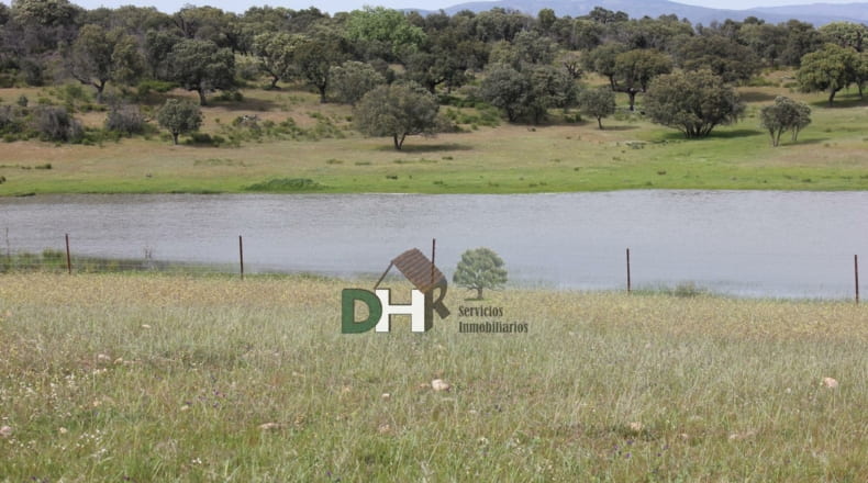 Cáceres - Cáceres - 730000m2