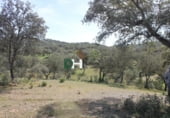 Non-developable land for sale on Calle Montesinos, Badajoz, ref: TR73756 photo