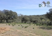 Non-developable land for sale on Calle Montesinos, Badajoz, ref: TR73756 photo