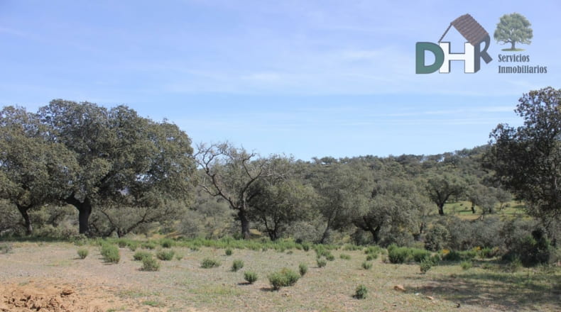 Badajoz - Badajoz - 1100000m2