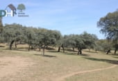 Non-developable land for sale on Calle Montesinos, Badajoz, ref: TR73756 photo