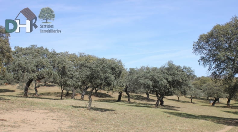 Badajoz - Badajoz - 1100000m2