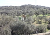 Non-developable land for sale on Calle Montesinos, Badajoz, ref: TR73756 photo