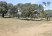 Non-developable land for sale on Calle Montesinos, Badajoz, ref: TR73756 photo