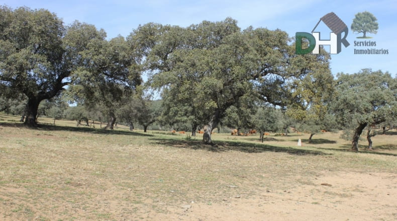 Badajoz - Badajoz - 1100000m2