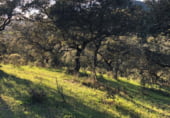Non-developable land for sale on Calle Montesinos, Badajoz, ref: TR73756 photo