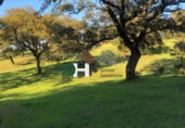 Non-developable land for sale on Calle Montesinos, Badajoz, ref: TR73756 photo