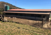 Non-developable land for sale on Calle Montesinos, Badajoz, ref: TR73756 photo